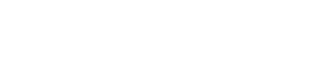 词皮中文